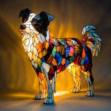Lučka Border Collie – Nádherná dekorácia pre domov